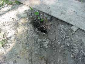 Abandoned well covered with plywood
